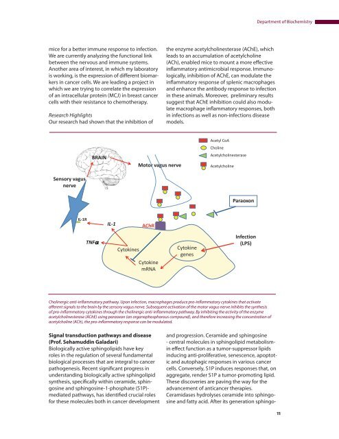 Research Publications - College of Medicine and Health Science