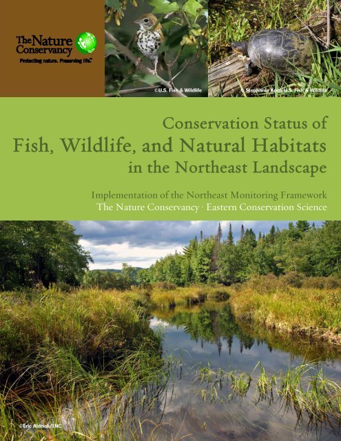 Conservation Status of Fish, Wildlife, and Natural ... - (RCN) Program