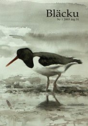 2005 nr 1 - Gotlands Ornitologiska Förening