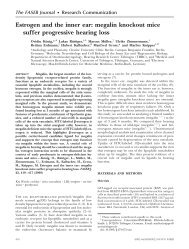 Megalin Knockout Mice - The FASEB Journal