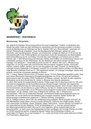 WINZERFEST - HISTORISCH - Winzerfest Döttingen