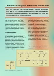 B-The Chemical & Physical Structure of Merino Wool.cdr - csiro