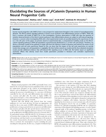 caten in dynamics - Albrecht-Kossel-Institute for Neuroregeneration