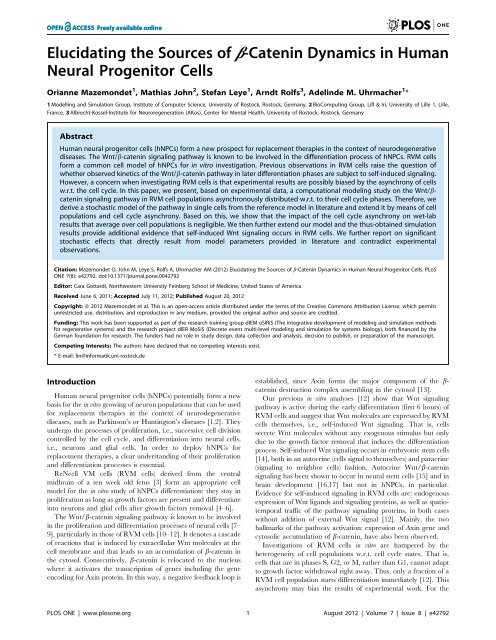 caten in dynamics - Albrecht-Kossel-Institute for Neuroregeneration