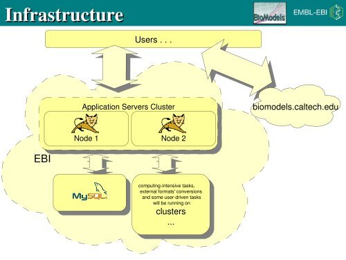 EMBL-EBI Powerpoint Presentation - BioModels