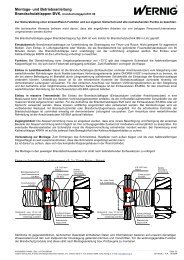Ba0809_3.pdf - Wernig