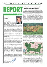 Report der Deutschen Wildtier Stiftung 2002 - Deutsche Wildtier ...