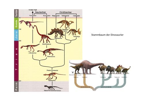 Geologie des Jura VHSZH.pptx - geo-life