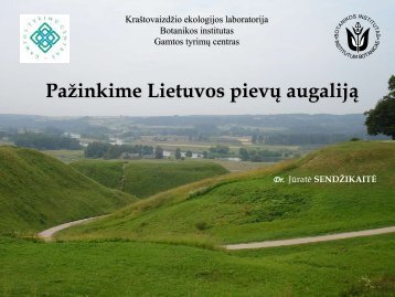 Pievos (PDF) - Vilniaus Verslo Kolegija