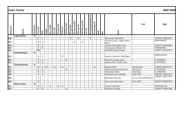 Cairn Terrier BSZ 2008 - Klub für Terrier e.V.