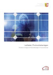 Leitfaden Photovoltaikanlagen - Landesfeuerwehrschule Schleswig ...