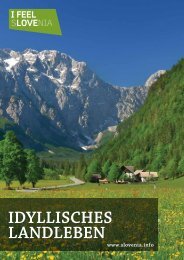 IDYLLISCHES LANDLEBEN - Slovenia