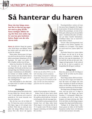 Passa och hänga hare