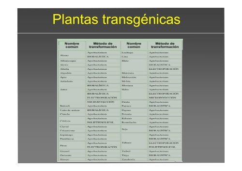 La investigación con plantas transgénicas