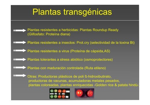 La investigación con plantas transgénicas