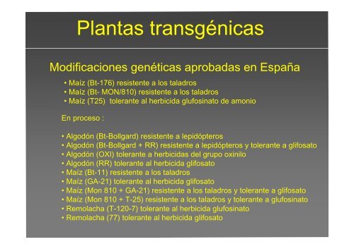 La investigación con plantas transgénicas