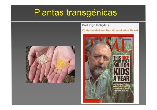 La investigación con plantas transgénicas