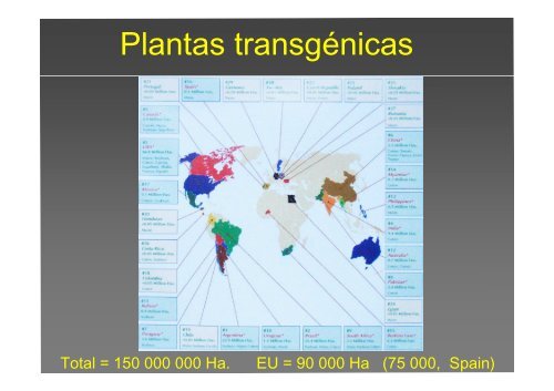 La investigación con plantas transgénicas