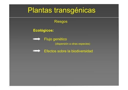 La investigación con plantas transgénicas