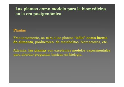 La investigación con plantas transgénicas