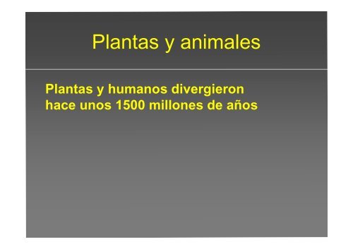 La investigación con plantas transgénicas