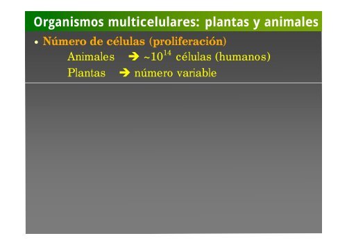 La investigación con plantas transgénicas