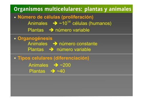 La investigación con plantas transgénicas