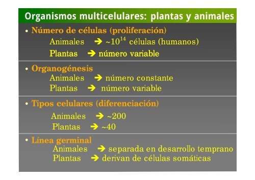 La investigación con plantas transgénicas