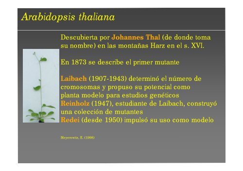 La investigación con plantas transgénicas