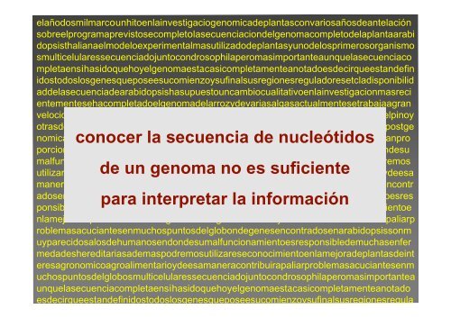 La investigación con plantas transgénicas