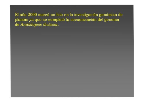 La investigación con plantas transgénicas