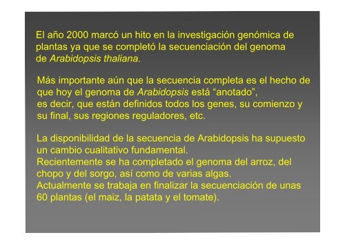 La investigación con plantas transgénicas