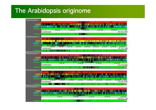 La investigación con plantas transgénicas