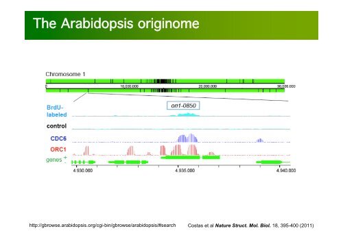 La investigación con plantas transgénicas