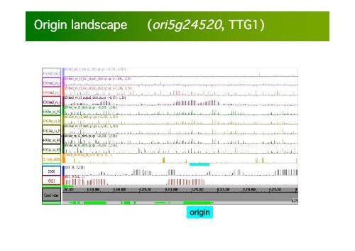 La investigación con plantas transgénicas