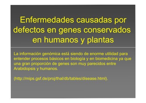 La investigación con plantas transgénicas