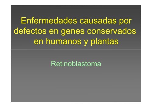 La investigación con plantas transgénicas