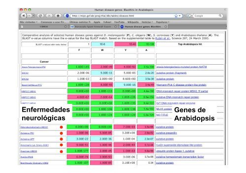 La investigación con plantas transgénicas