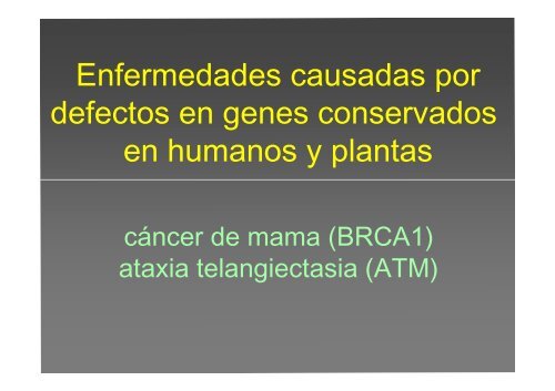 La investigación con plantas transgénicas