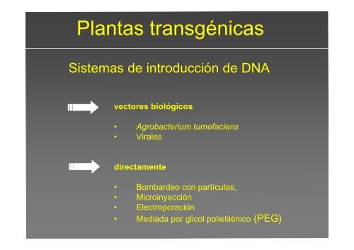 La investigación con plantas transgénicas