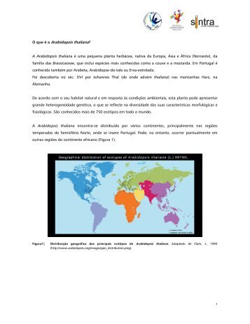 O que é a Arabidopsis thaliana? A Arabidopsis thaliana é uma ...