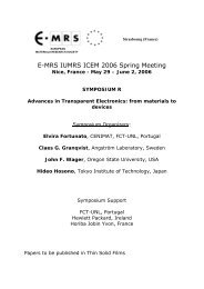 E-MRS IUMRS ICEM 2006 Spring Meeting