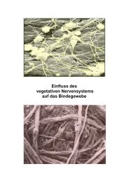 Einfluss des vegetativen Nervensystems auf das Bindegewebe ...