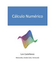 Cálculo Numérico – Luis Castellanos