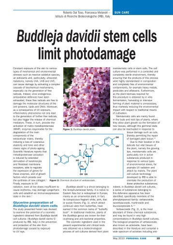 Buddleja davidii stem cells limit photodamage - IRB