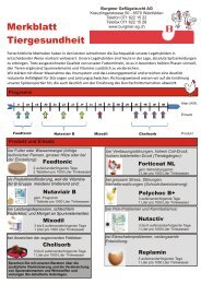 Merkblatt Tiergesundheit Nutactiv Forticoat NL Feedtonic Replamin