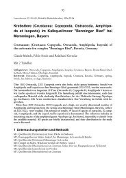 Krebstiere (Crustacea: Copepoda, Ostracoda, Amphipo ... - FaunaItalia