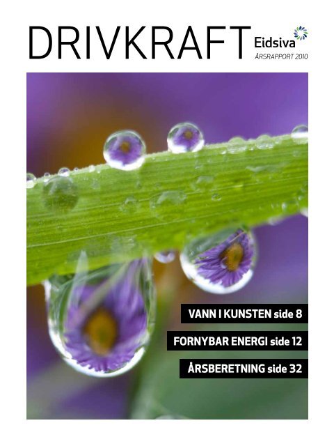 Årsrapport 2010 (pdf) - Eidsiva Energi