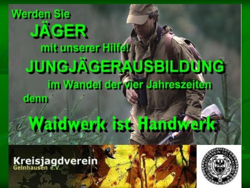 Forums NetForumnl