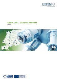 CERIM - WP3 - COUNTRY REPORTS - Central Europe